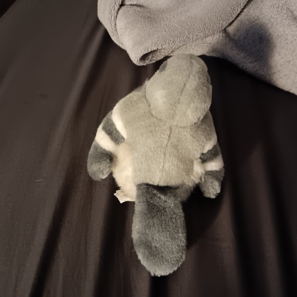 Wild republic audubon birds k&m international plush northern mockingbird
